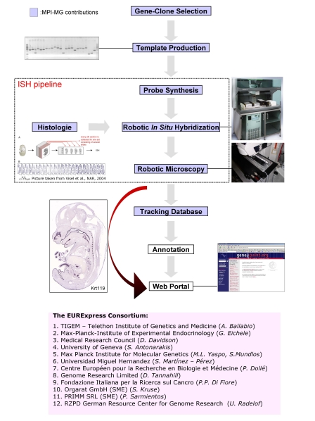 EURExpress Workflow